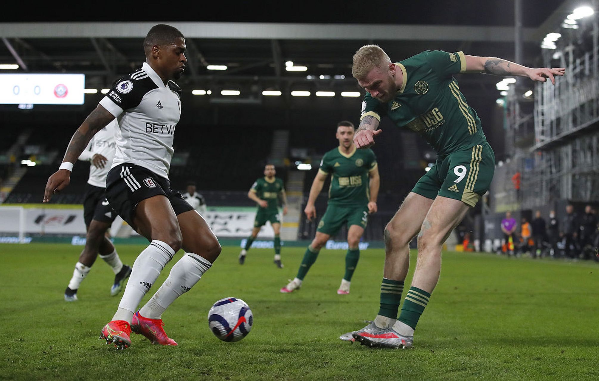 不仅显现出 不仅显现出